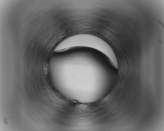 X0000103260180200809121931