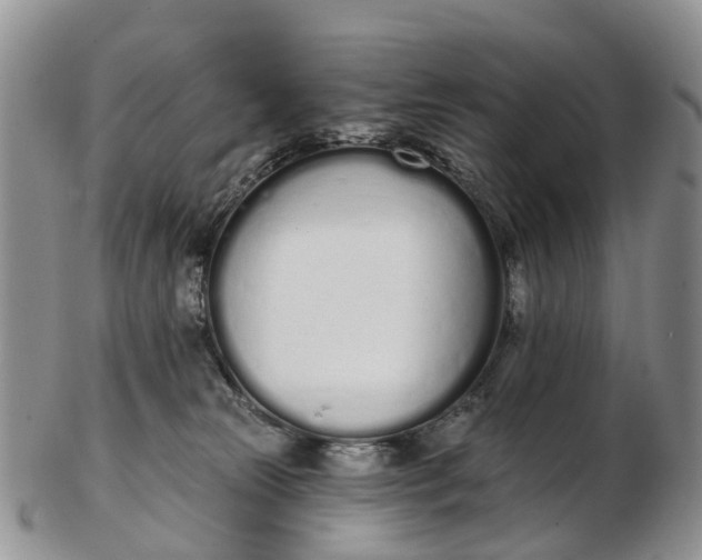 X0000103260181200809121931