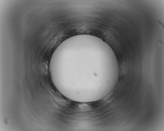 X0000103260183200809121931