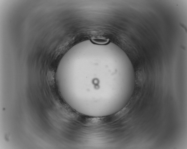 X0000103260184200809121931