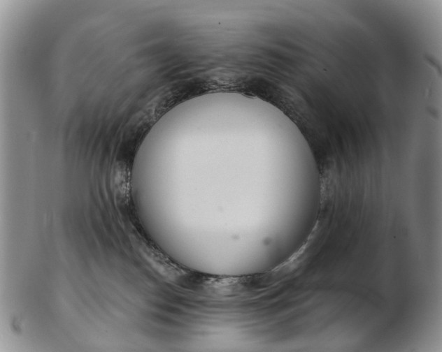 X0000103260186200809121931