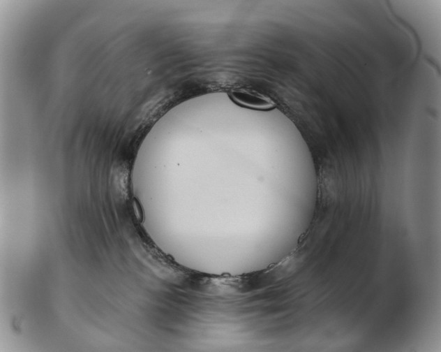 X0000103260188200809121931