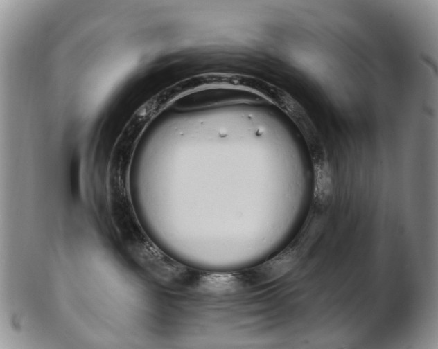 X0000103260189200809121931