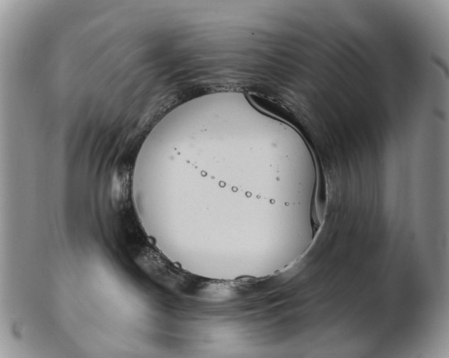 X0000103260190200809121931