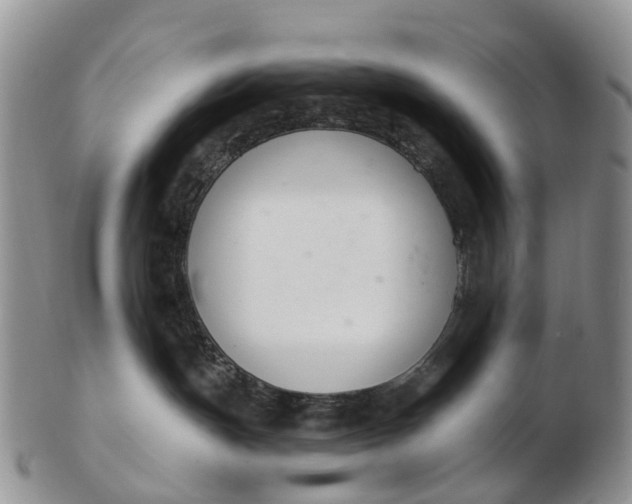 X0000103260191200809121931