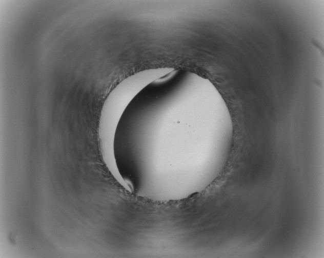 X0000103260192200809121931