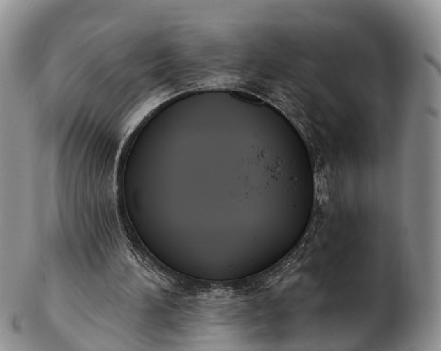 X0000103260196200809121930