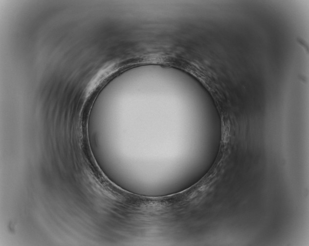 X0000103260198200809121930