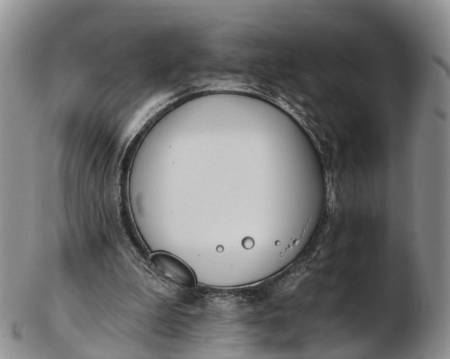 X0000103260199200809121930