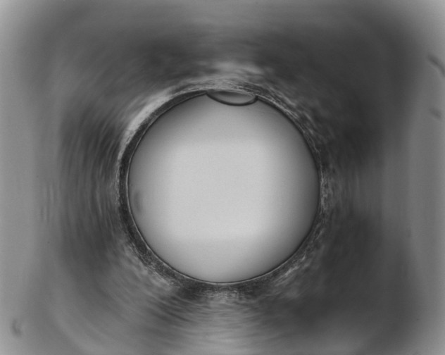 X0000103260200200809121930