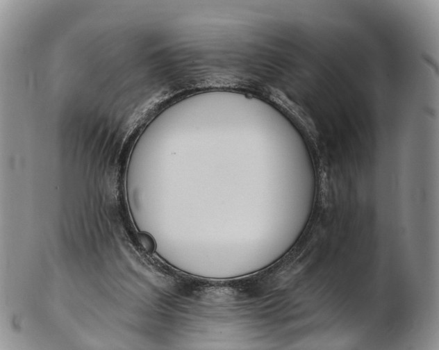 X0000103260203200809121930