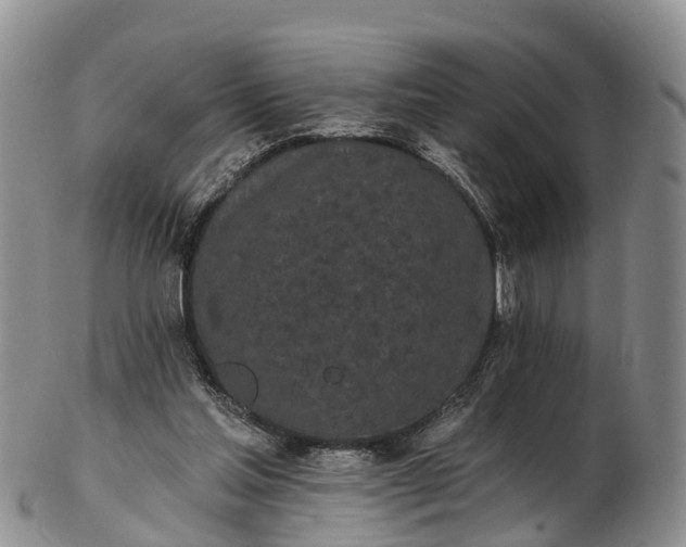 X0000103260205200809121930