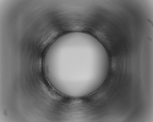 X0000103260206200809121930