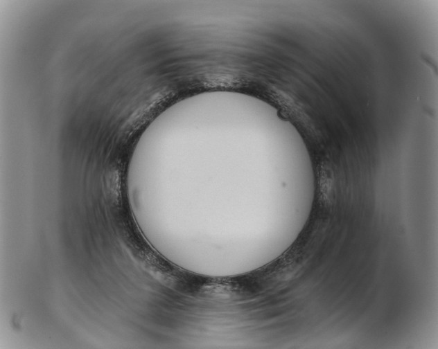 X0000103260211200809121930