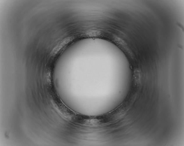 X0000103260212200809121930