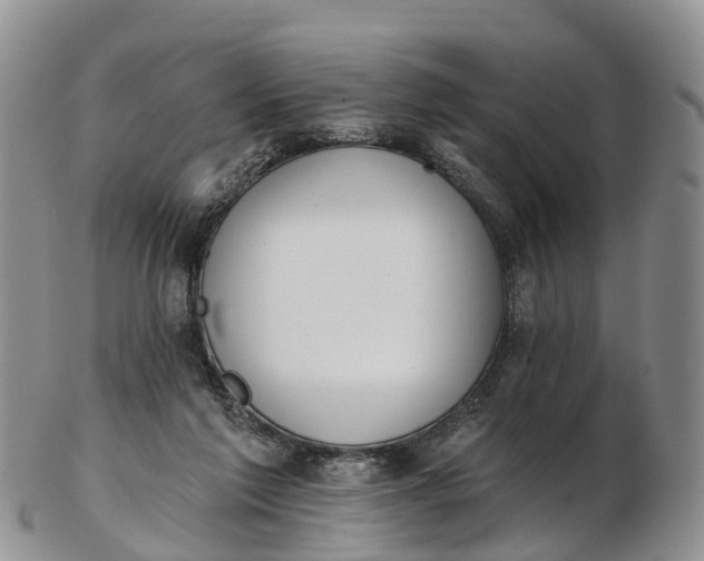 X0000103260213200809121930