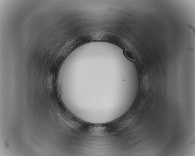 X0000103260217200809121930