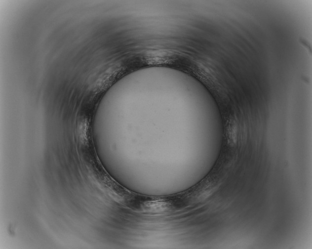 X0000103260219200809121930