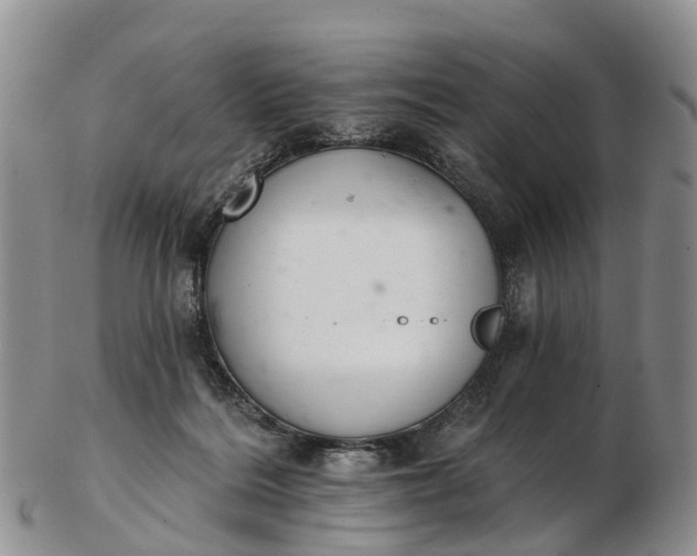 X0000103260220200809121930