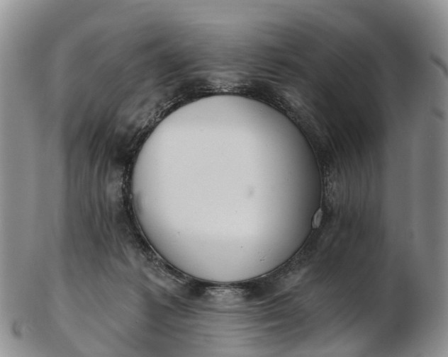 X0000103260221200809121930