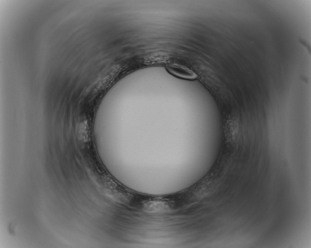 X0000103260224200809121930