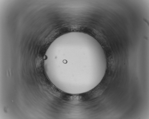 X0000103260225200809121930