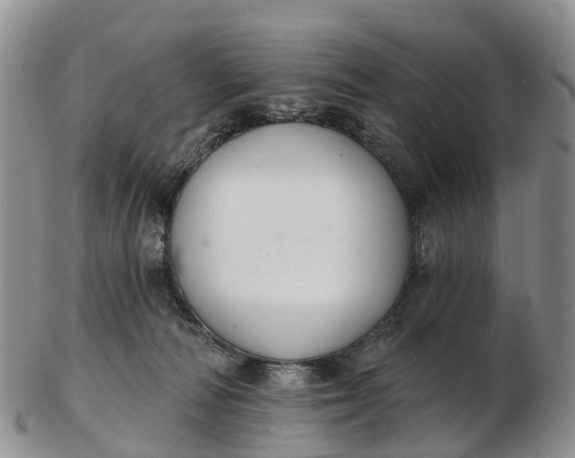 X0000103260226200809121930