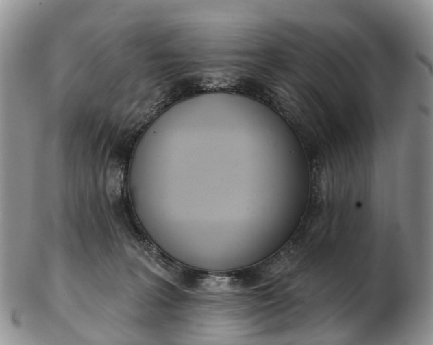 X0000103260227200809121930