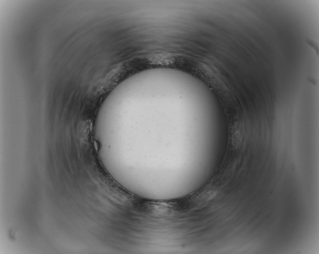 X0000103260229200809121930