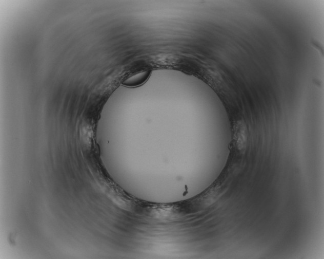 X0000103260235200809121930