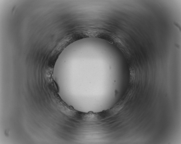 X0000103260237200809121930