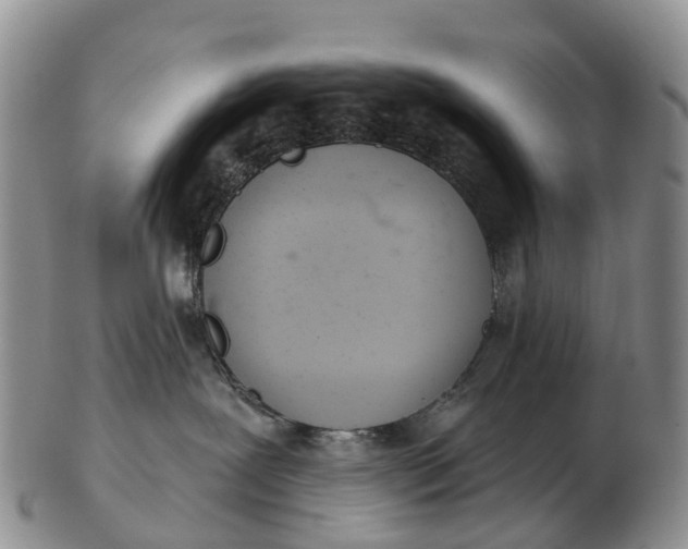 X0000103260239200809121930