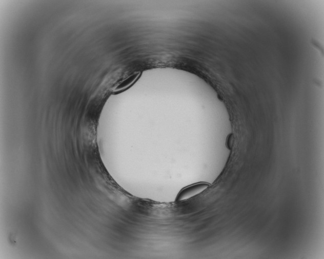 X0000103260240200809121930