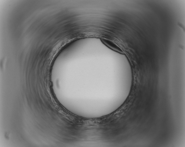 X0000103260241200809121929