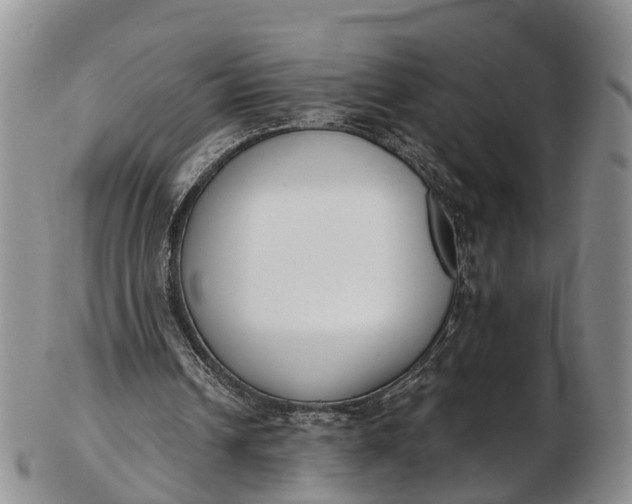 X0000103260242200809121929