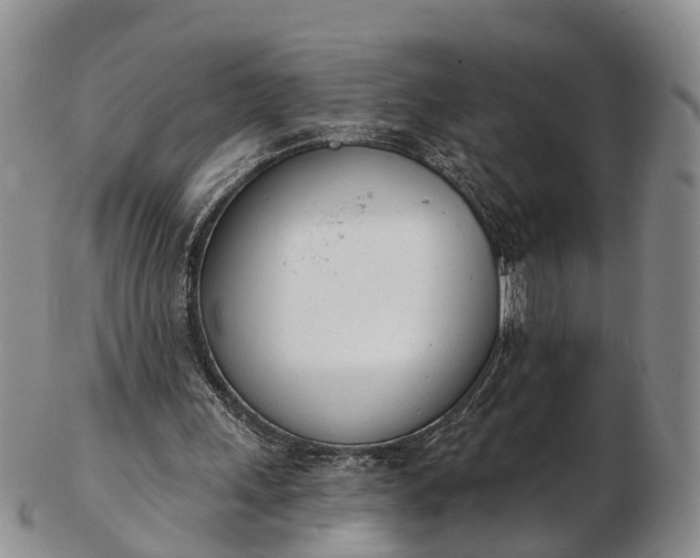 X0000103260243200809121929