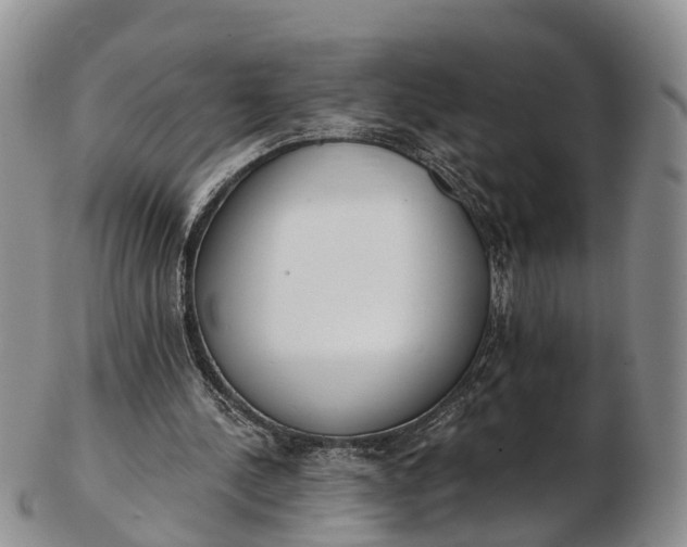 X0000103260244200809121929