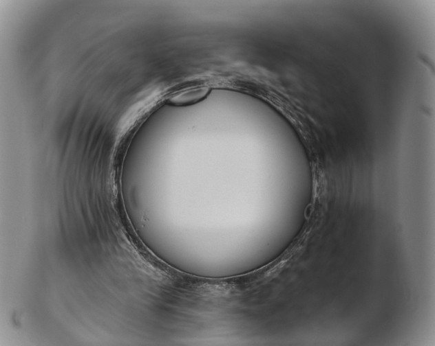 X0000103260245200809121929