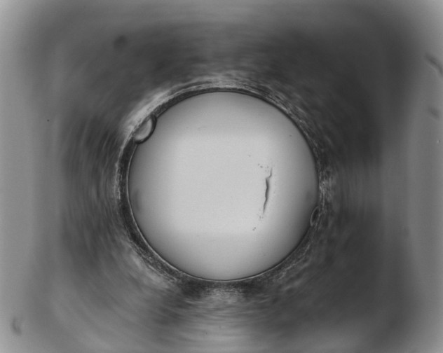 X0000103260248200809121929