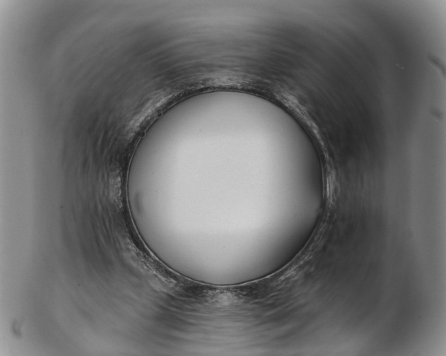 X0000103260249200809121929