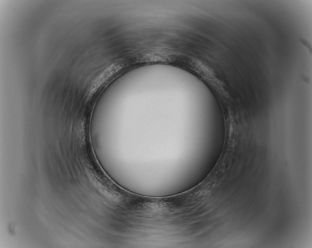 X0000103260250200809121929