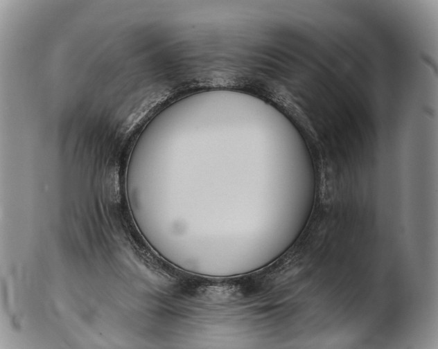 X0000103260251200809121929