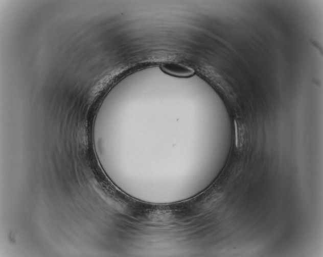 X0000103260252200809121929