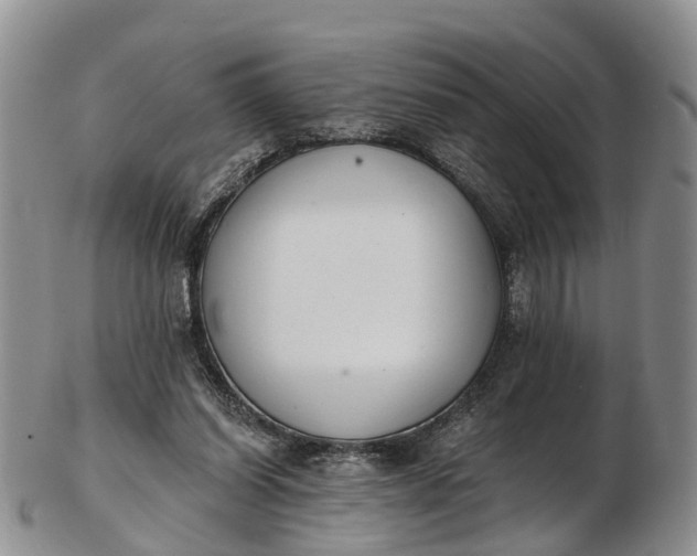 X0000103260254200809121929