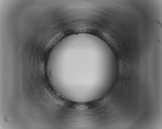 X0000103260258200809121929