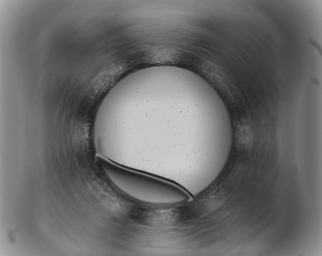 X0000103260260200809121929