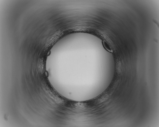 X0000103260261200809121929