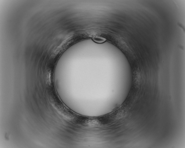 X0000103260262200809121929