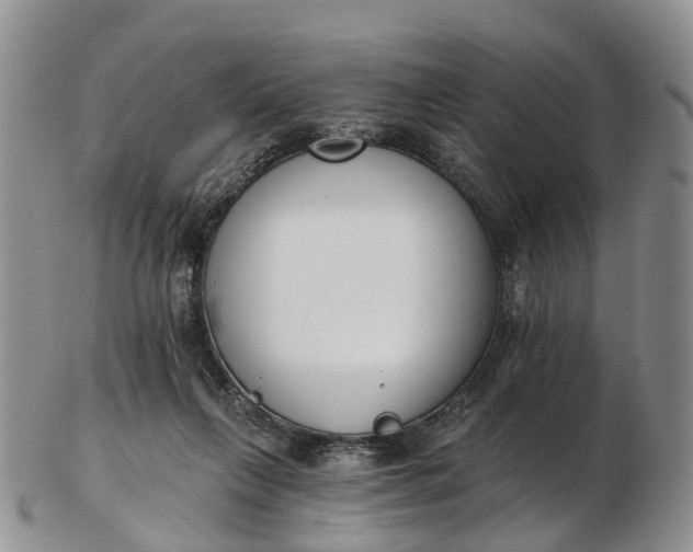 X0000103260263200809121929