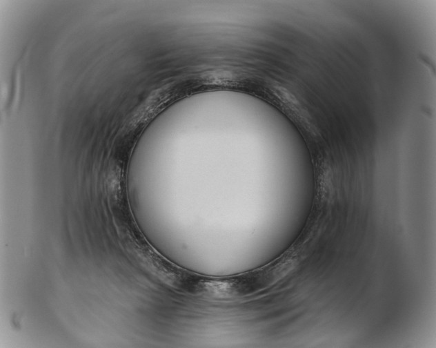 X0000103260265200809121929